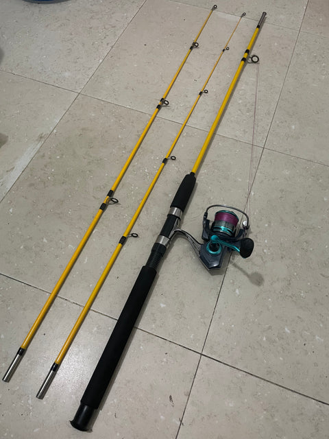 Fishing Rod and Reel Combos